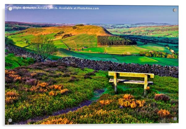 Danby Dale North York Moors Acrylic by Martyn Arnold
