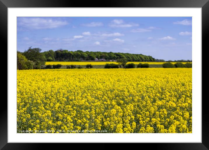 Yellow & green landscape Framed Mounted Print by Jason Wells