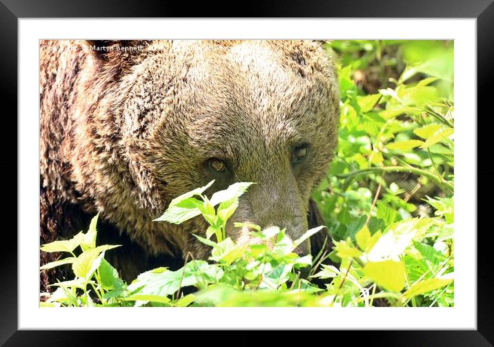 eyes Framed Mounted Print by Martyn Bennett