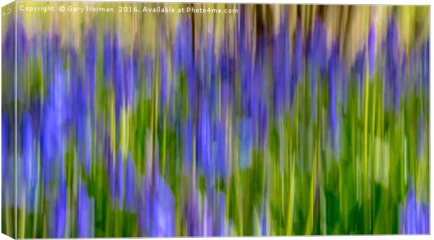 Blurred Bluebells from Maulden Woods, Bedfordshire Canvas Print by Gary Norman