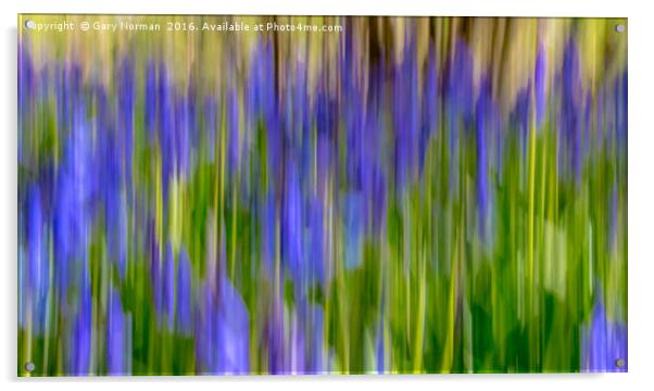 Blurred Bluebells from Maulden Woods, Bedfordshire Acrylic by Gary Norman