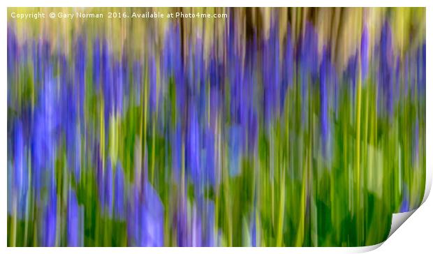 Blurred Bluebells from Maulden Woods, Bedfordshire Print by Gary Norman