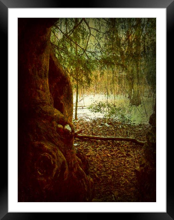 Ice Cave in the Woods. Framed Mounted Print by Heather Goodwin