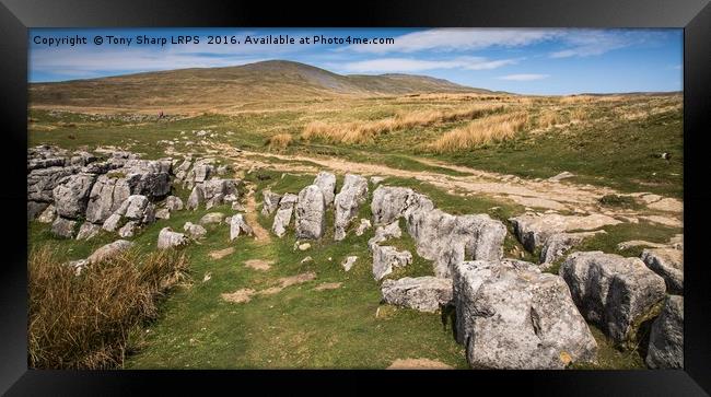 A Walk Through Limestone Framed Print by Tony Sharp LRPS CPAGB