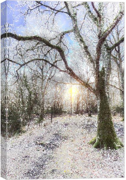 The Snow Forest Art Canvas Print by David Pyatt