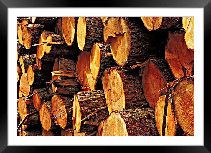 Logs           Framed Mounted Print by Andy Smith