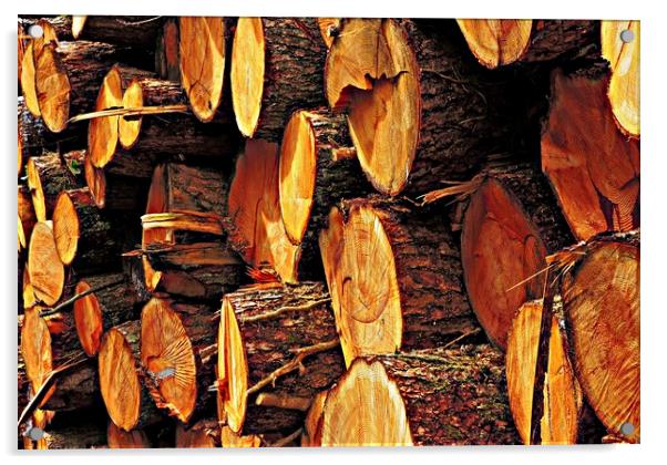 Logs           Acrylic by Andy Smith
