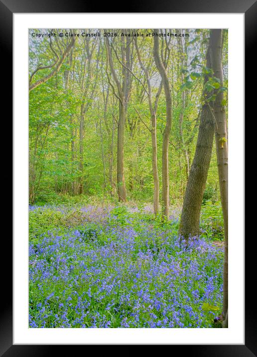 Tip toe...through the bluebells... Framed Mounted Print by Claire Castelli