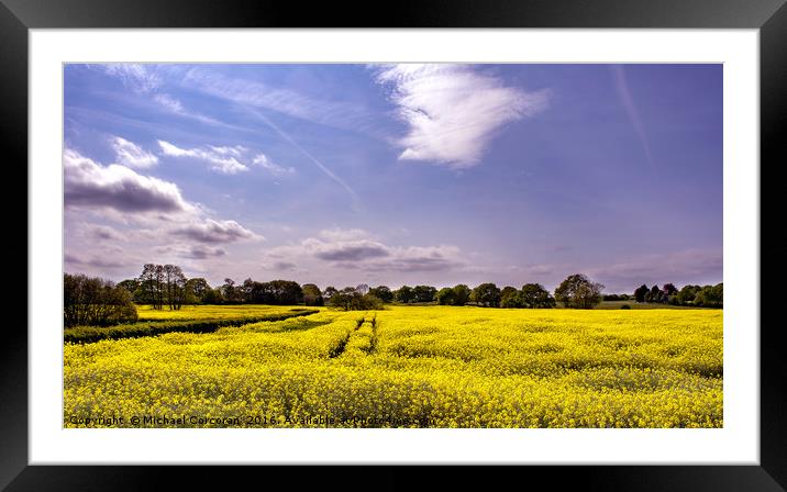 Yellow Field Framed Mounted Print by Michael Corcoran