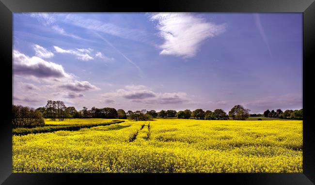 Yellow Field Framed Print by Michael Corcoran