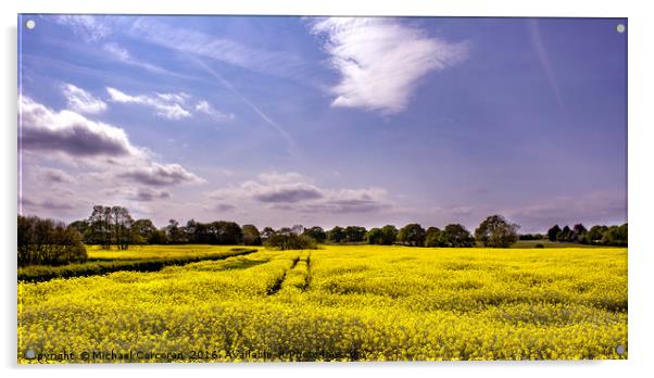 Yellow Field Acrylic by Michael Corcoran