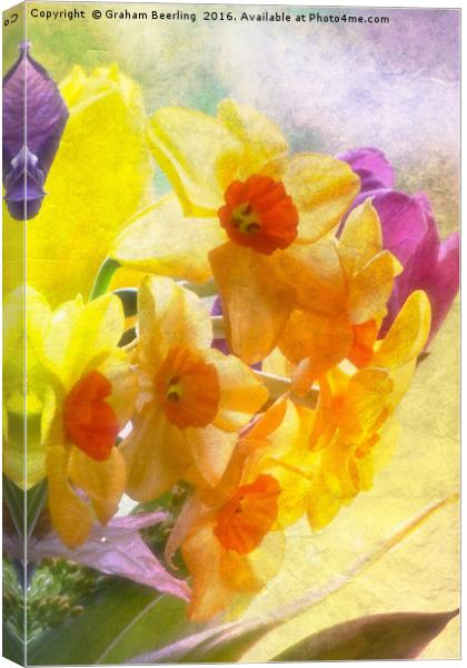 Spring Daffs Canvas Print by Graham Beerling