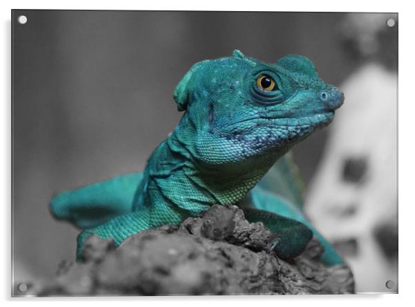 Lazy Lizard Acrylic by Georgie Lilly