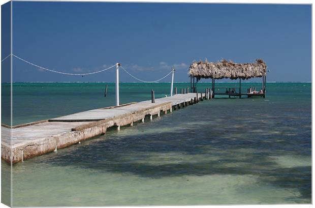 Belize Pier Canvas Print by Tania Bloomfield