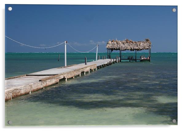 Belize Pier Acrylic by Tania Bloomfield
