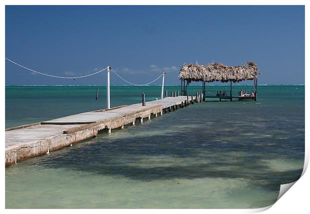 Belize Pier Print by Tania Bloomfield