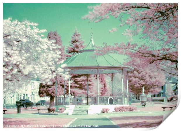 Burngreen Park, Infrared Print by Natasha Naylor