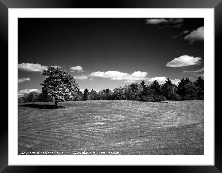 Cumbernauld Park, Infrared Framed Mounted Print by Natasha Naylor