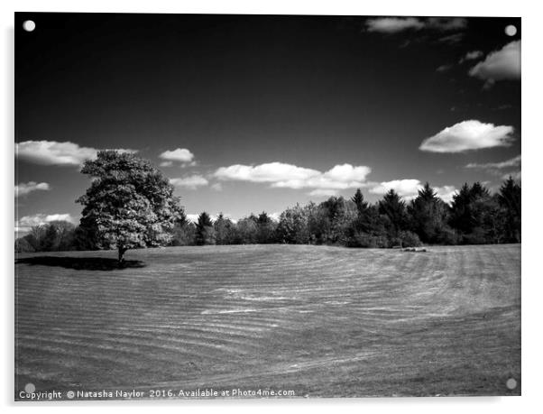 Cumbernauld Park, Infrared Acrylic by Natasha Naylor