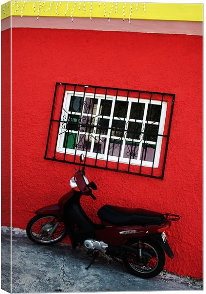 SCooter and Red Wall Canvas Print by Tania Bloomfield