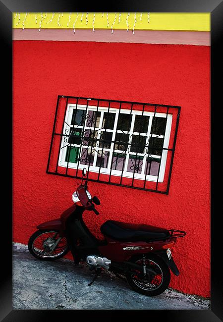 SCooter and Red Wall Framed Print by Tania Bloomfield