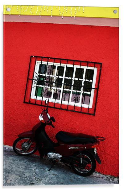 SCooter and Red Wall Acrylic by Tania Bloomfield