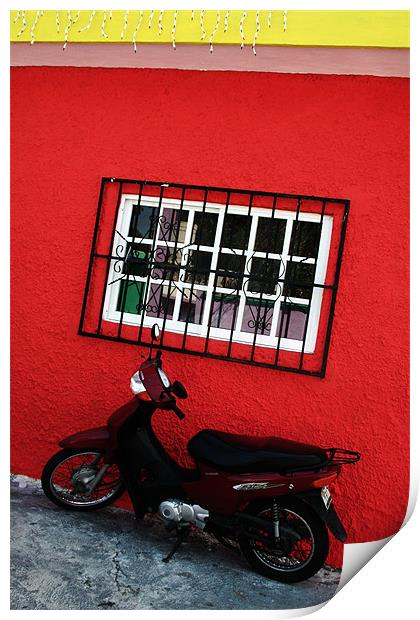 SCooter and Red Wall Print by Tania Bloomfield
