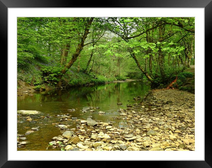 Bolton's Tranquil Wildlife Haven Framed Mounted Print by Derrick Fox Lomax
