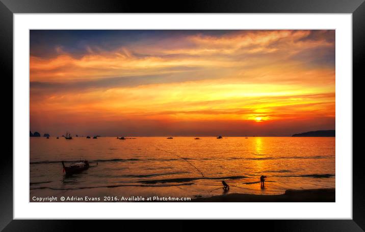 Bay Sunset Framed Mounted Print by Adrian Evans