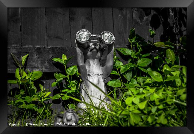 Look out Framed Print by Steven Blanchard