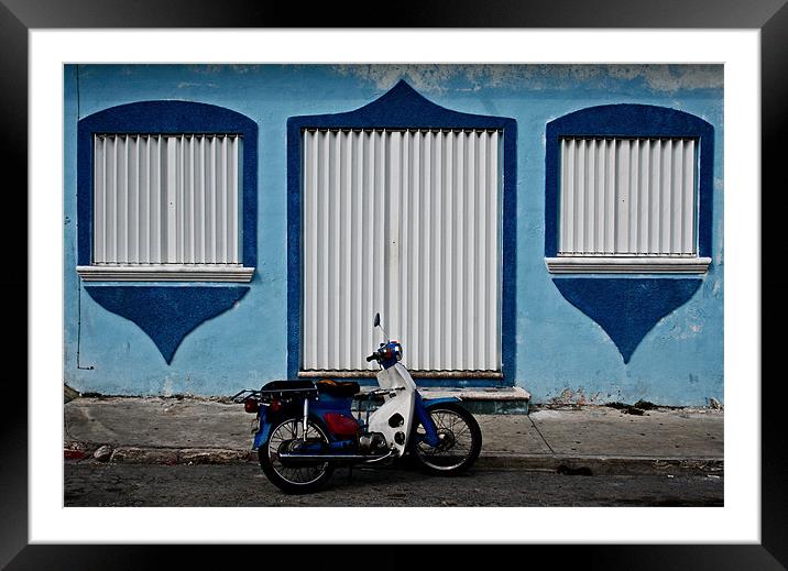 Blue and White Framed Mounted Print by Tania Bloomfield