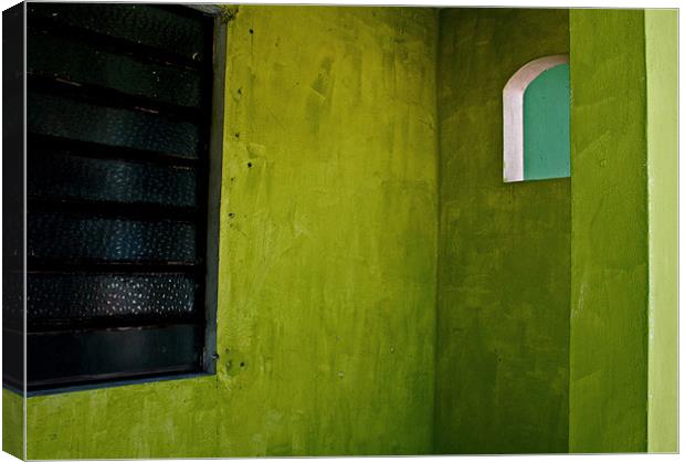 Green Alcove Canvas Print by Tania Bloomfield