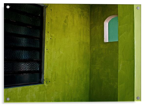 Green Alcove Acrylic by Tania Bloomfield