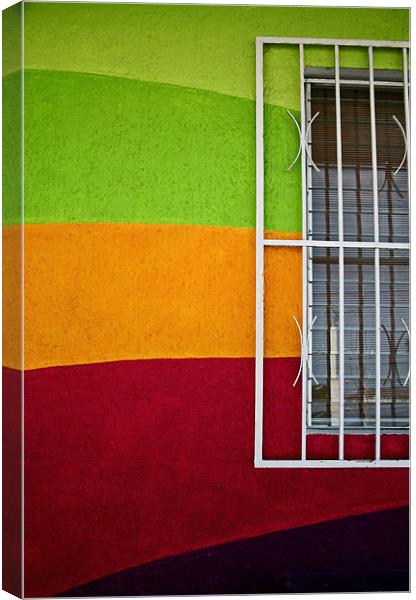 Rainbow wall and Window Canvas Print by Tania Bloomfield