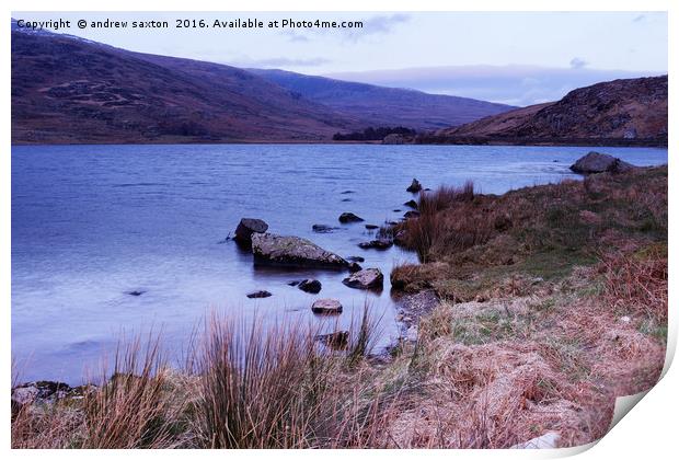 LAKE EDGE Print by andrew saxton