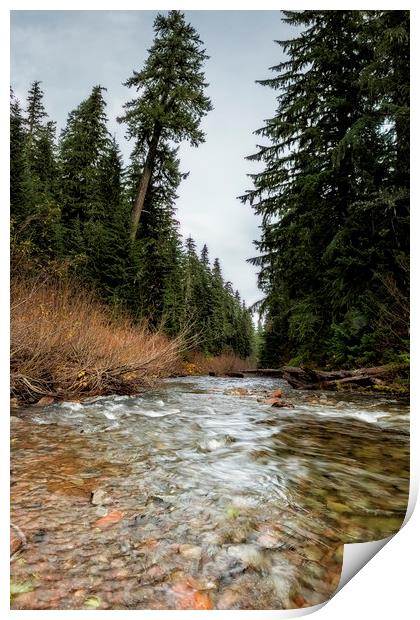 Hackleman Creek Print by Belinda Greb