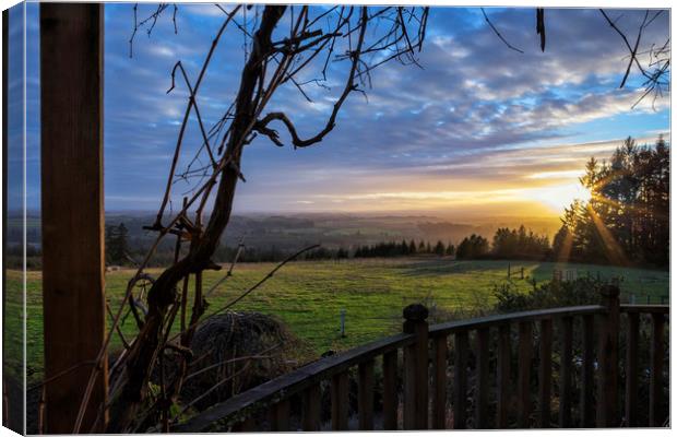 Taking It In Canvas Print by Belinda Greb