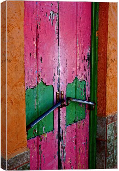 Pink Door Canvas Print by Tania Bloomfield