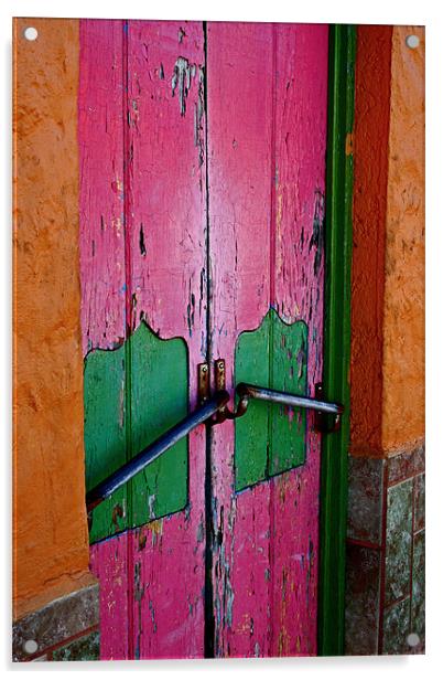 Pink Door Acrylic by Tania Bloomfield