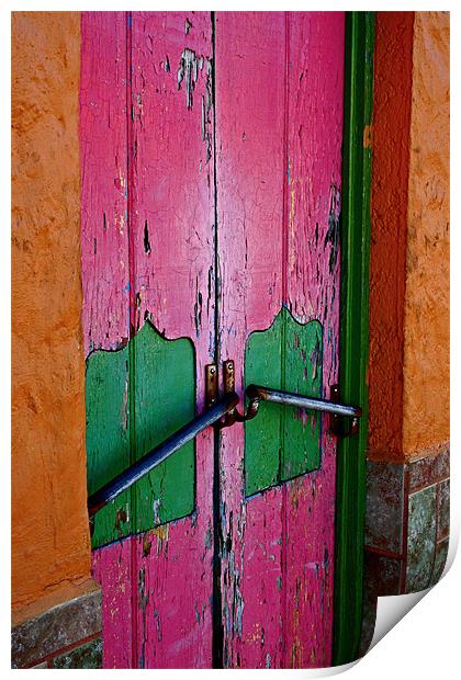 Pink Door Print by Tania Bloomfield