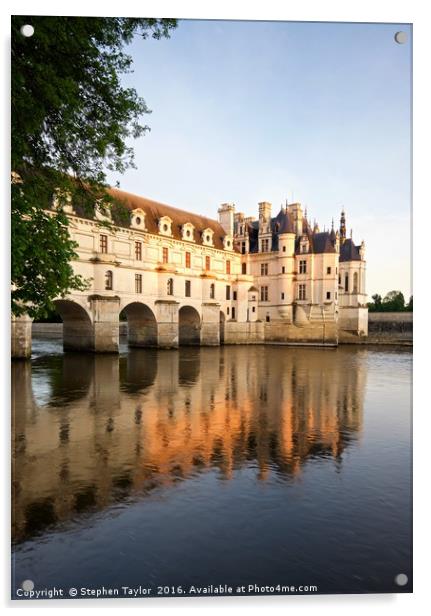Chateau de Chenonceau Acrylic by Stephen Taylor