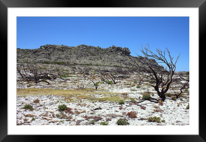 Barren land, desolation Framed Mounted Print by Riaan Swanepoel