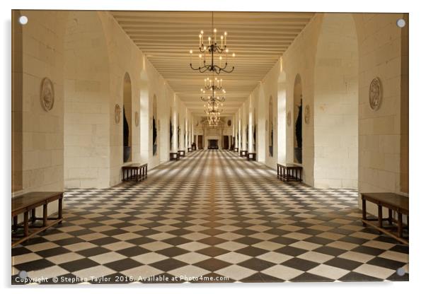 Inside the great grand Chateau de Chenonceau Acrylic by Stephen Taylor