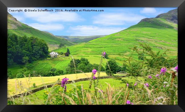 Cumbrian Idyll Framed Print by Gisela Scheffbuch