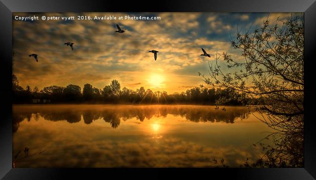 Bury Lake with ducks fly past Framed Print by peter wyatt
