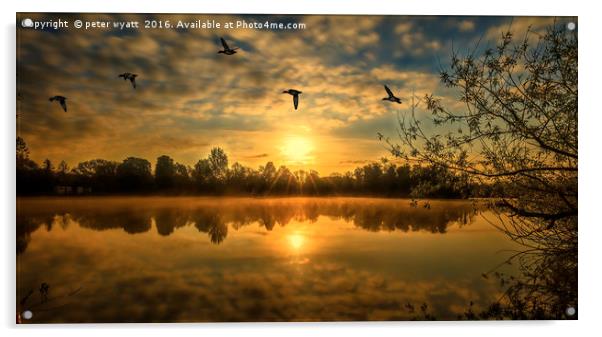 Bury Lake with ducks fly past Acrylic by peter wyatt