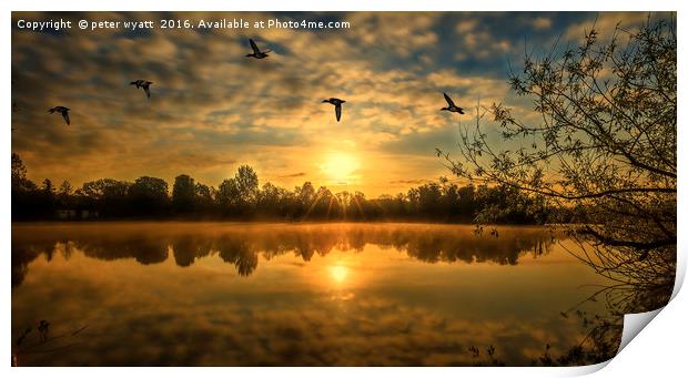 Bury Lake with ducks fly past Print by peter wyatt