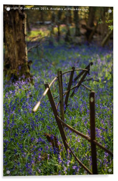 Rusty Fence Acrylic by peter wyatt