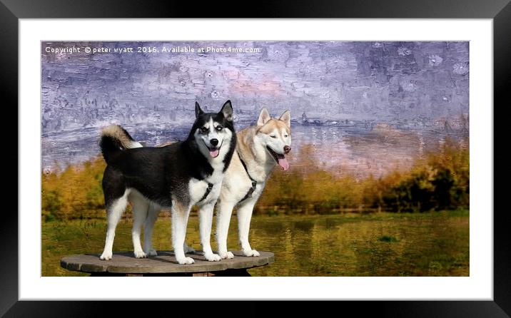 Archie and Tilley Framed Mounted Print by peter wyatt