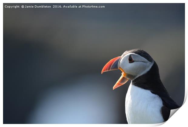 Yawning Puffin Print by Jamie Dumbleton